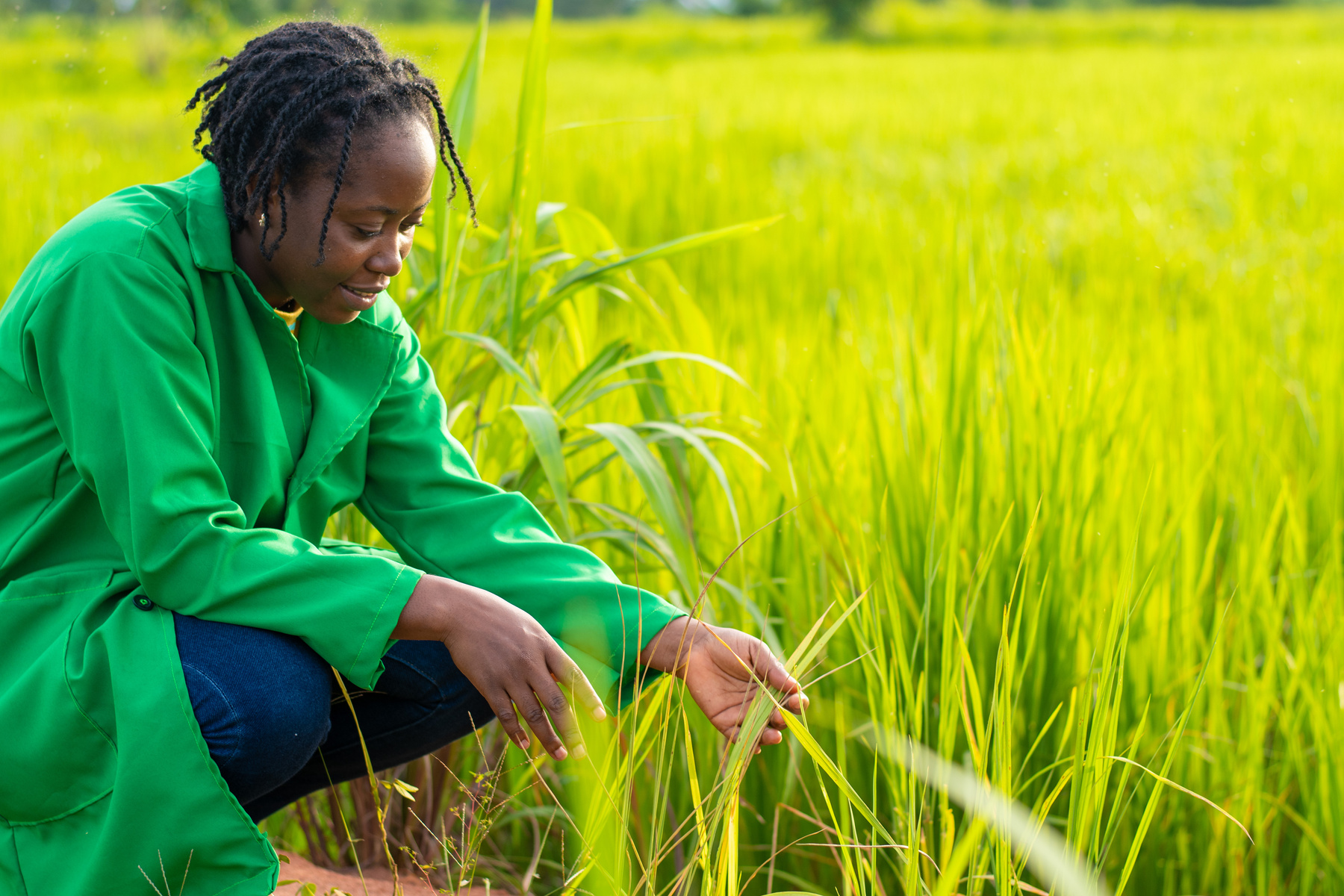 Farmer Girl Inspecting Her Plants